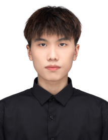 李文俊肖像